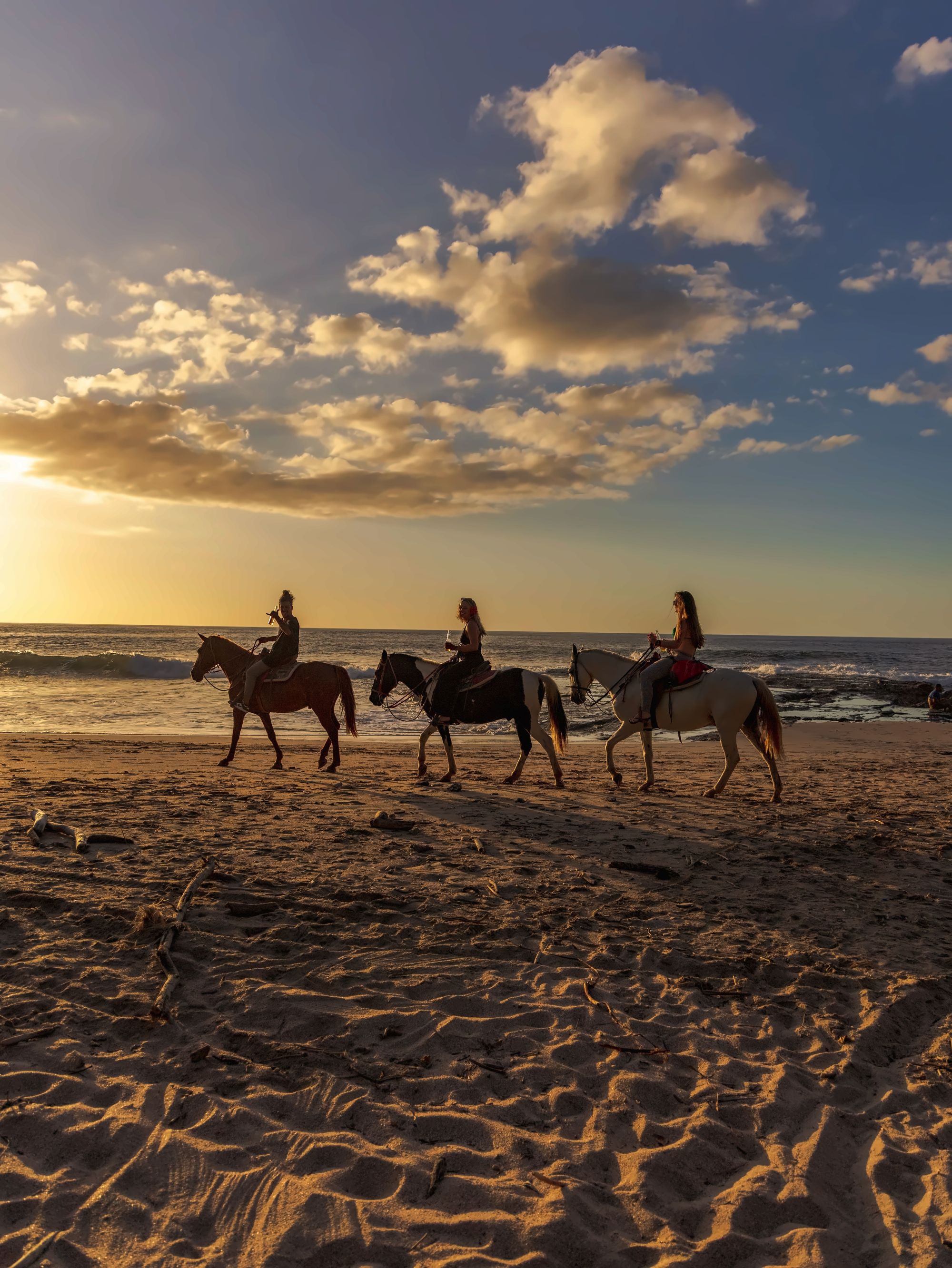 Beach Horse Riding gallery photo 1