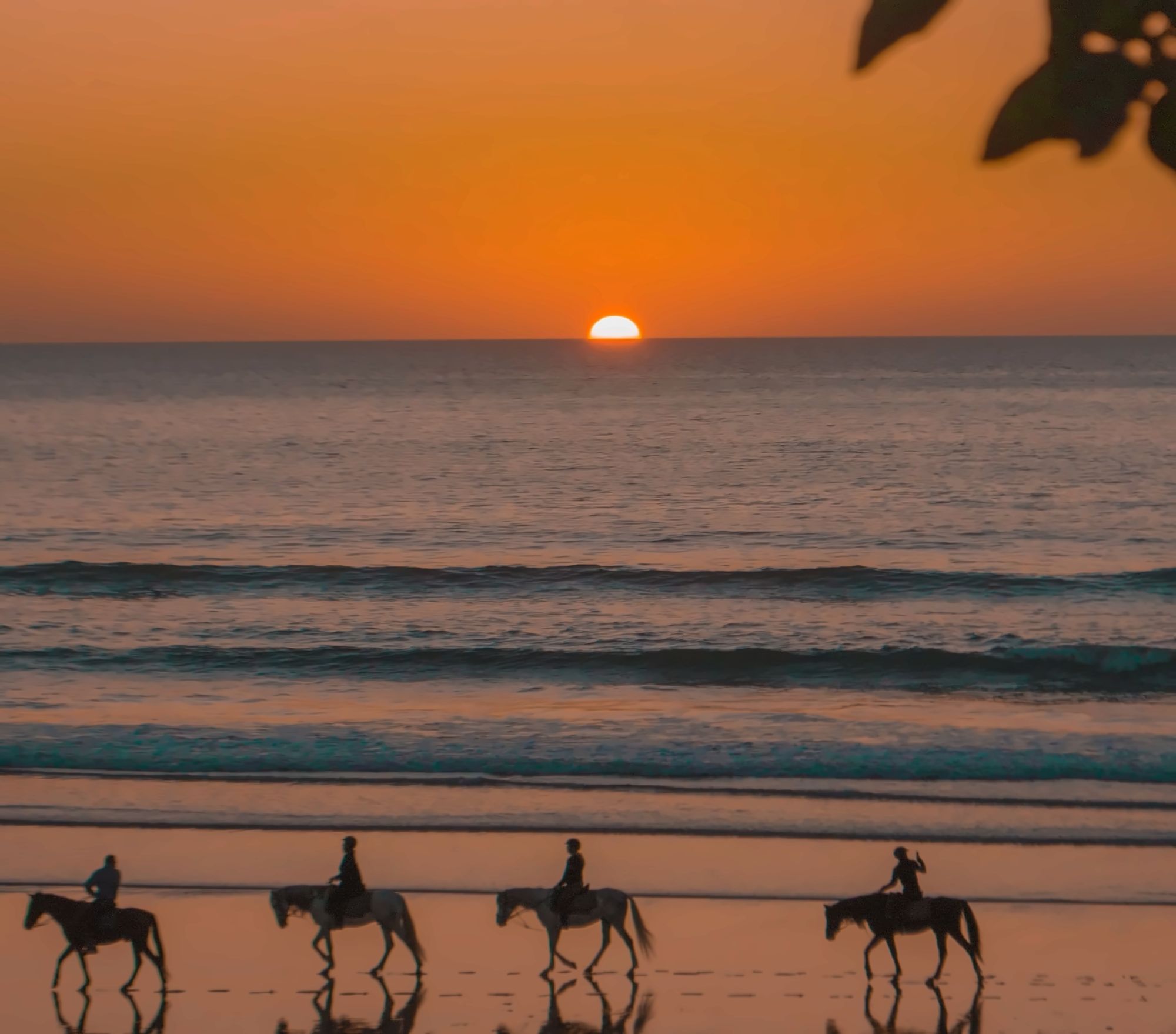 Beach Horse Riding gallery photo 3