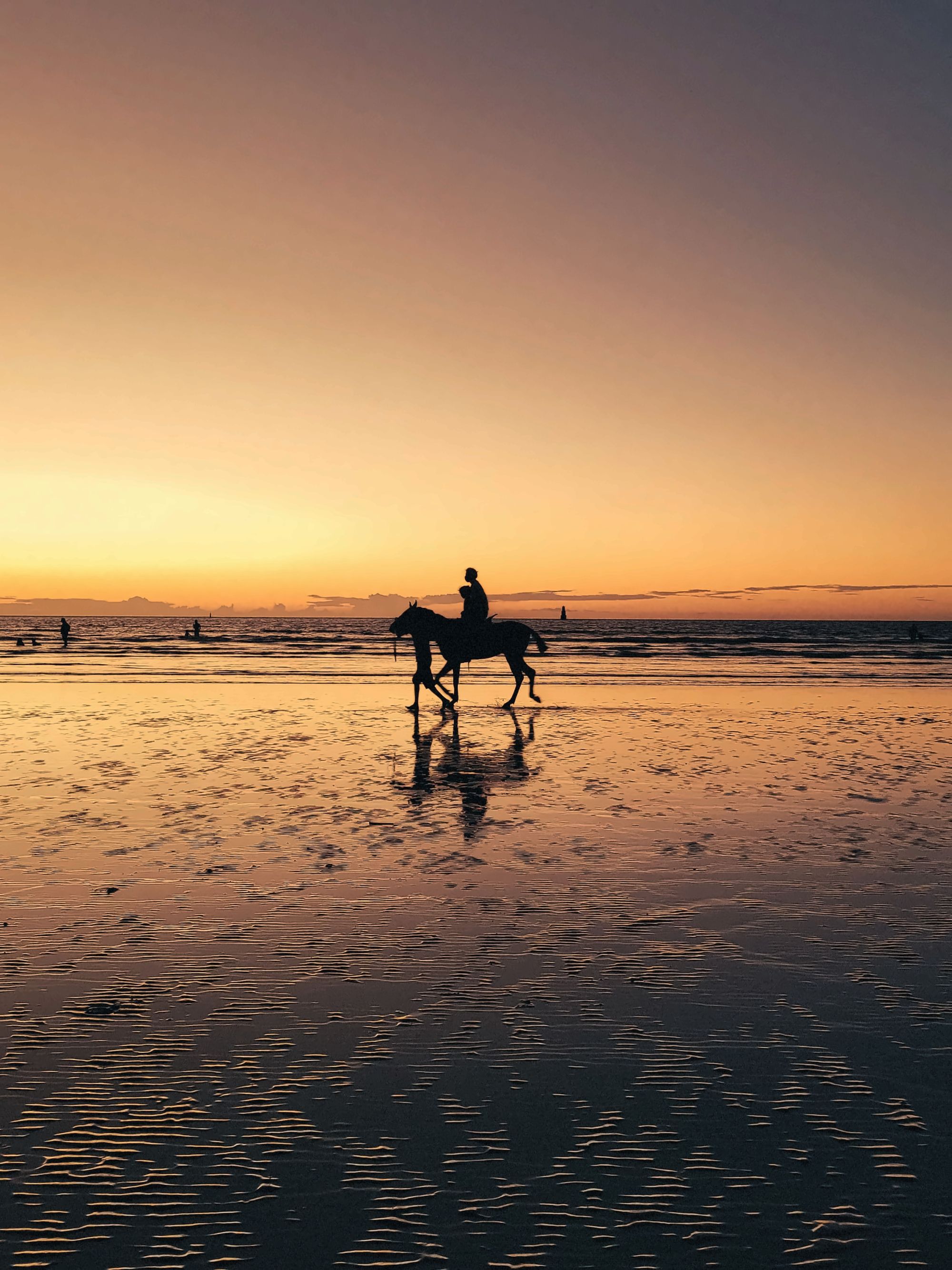 Beach Horse Riding gallery photo 4