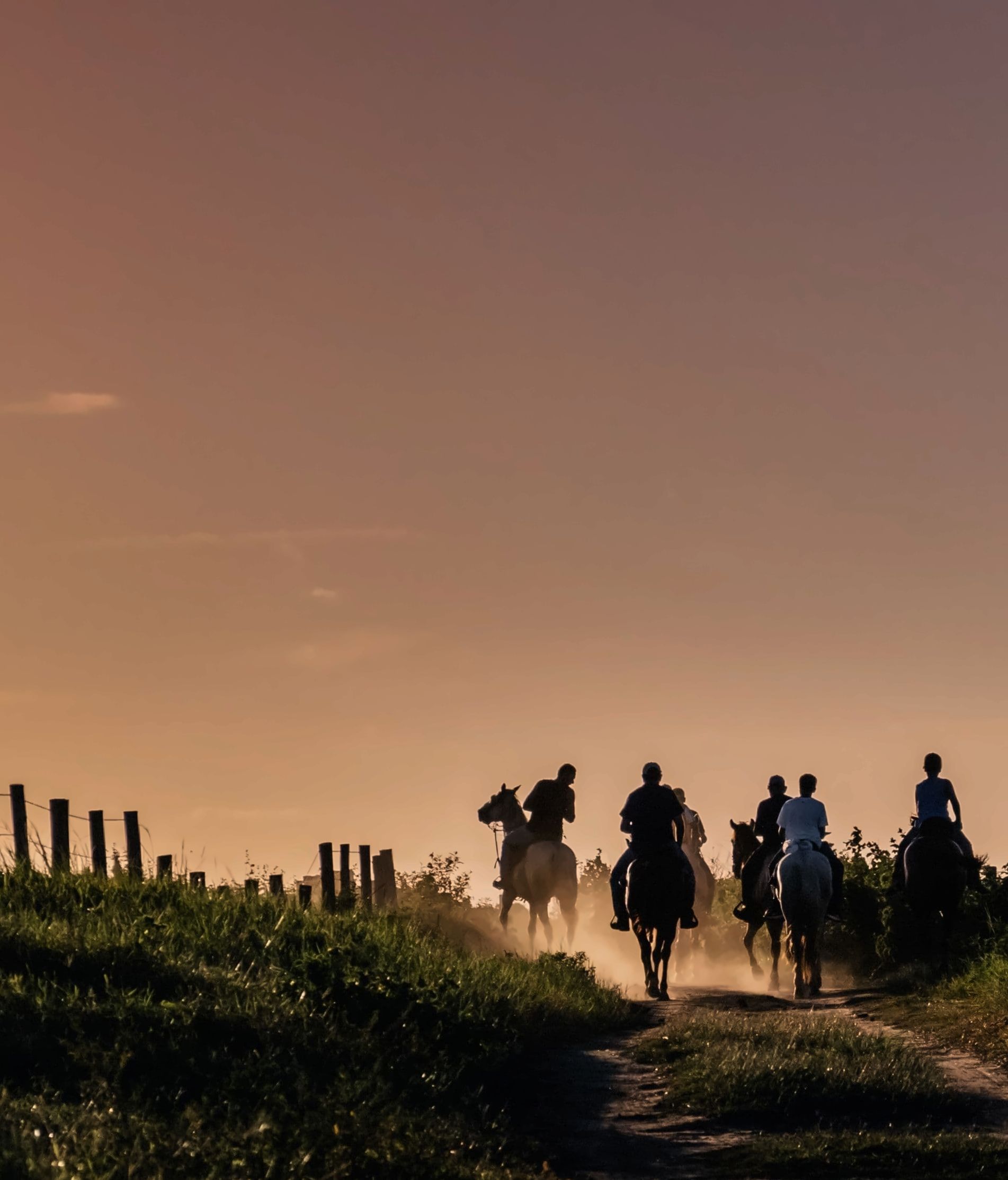 Beach Horse Riding gallery photo 6
