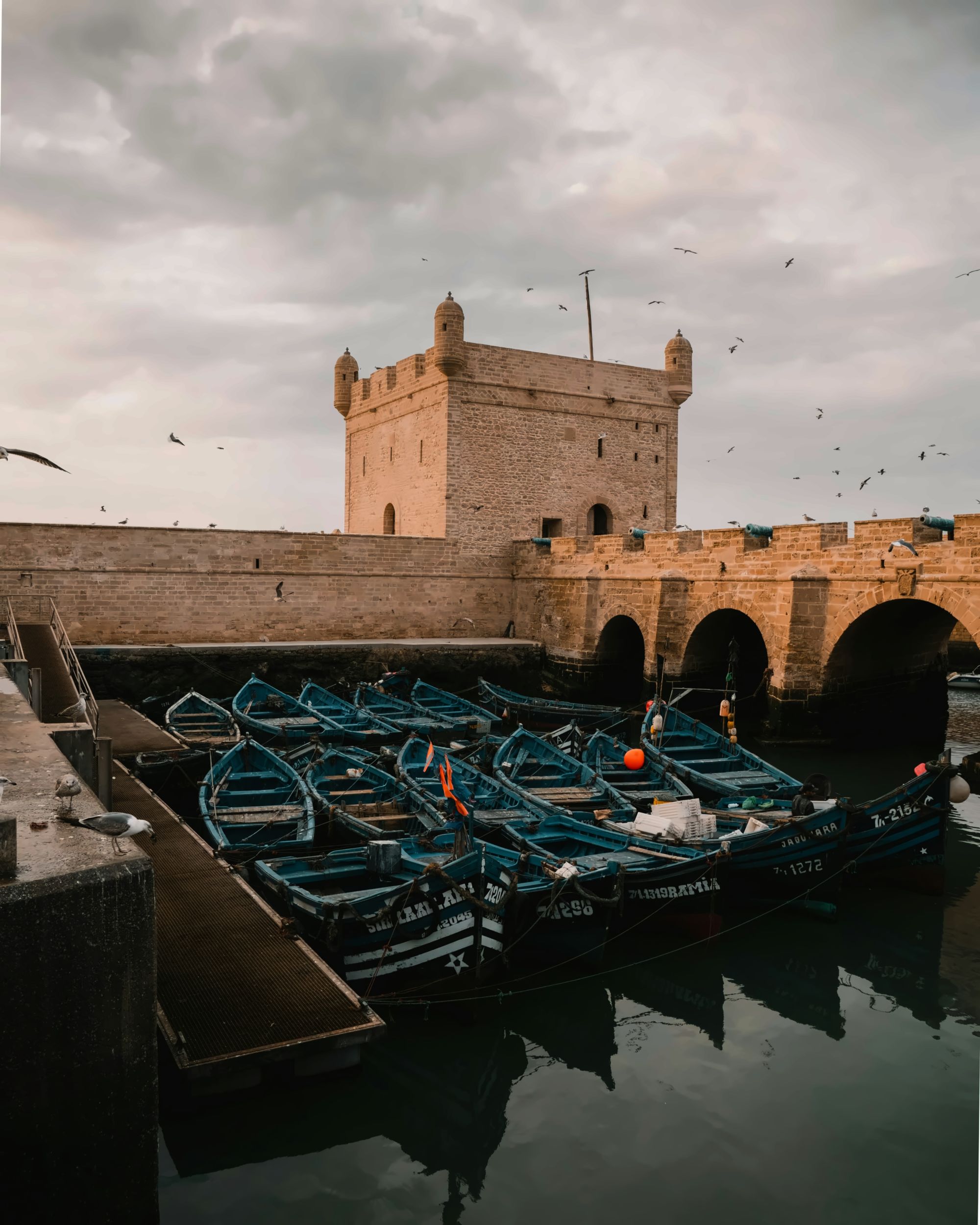 Essaouira excursion gallery photo 2