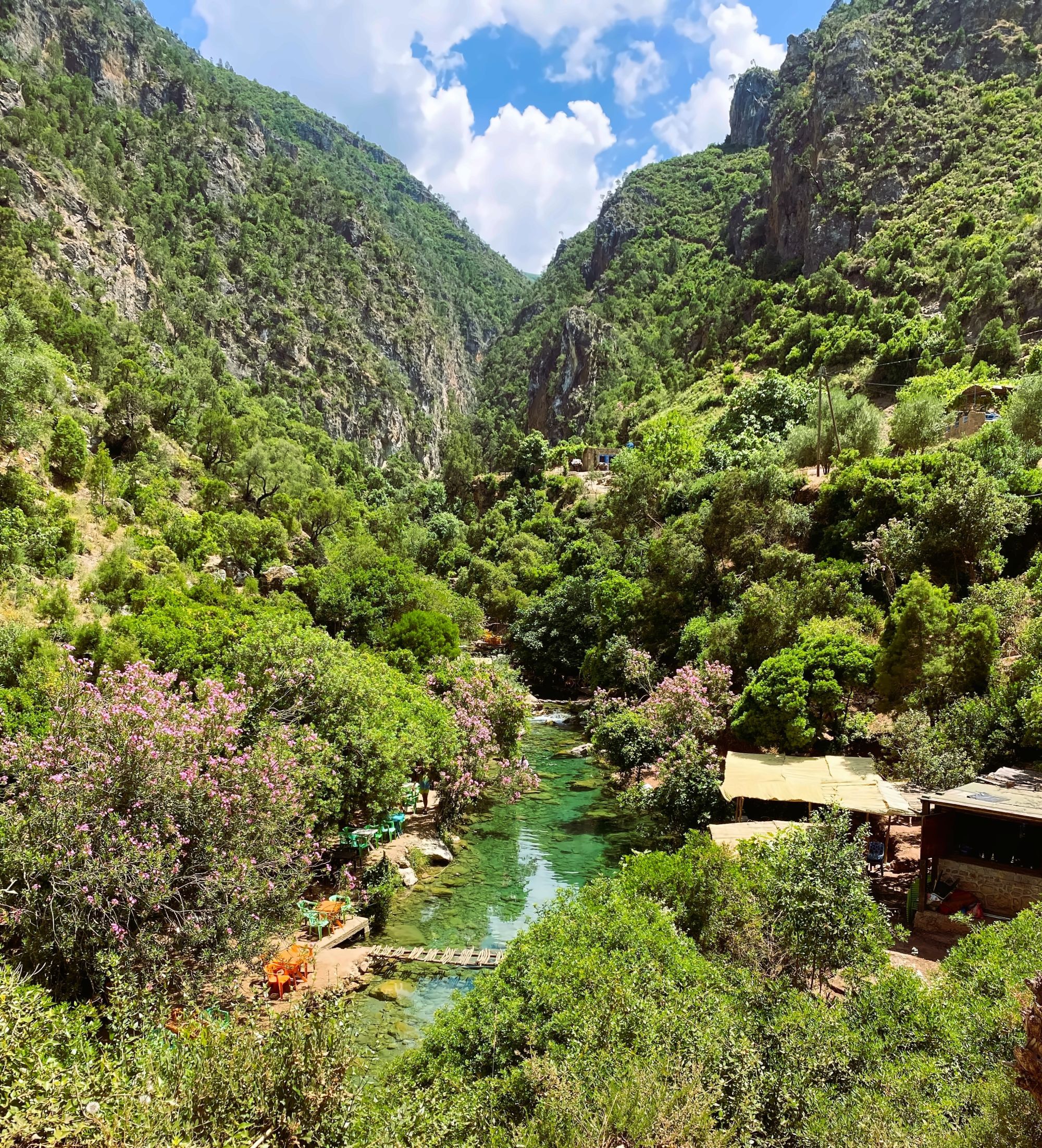 Paradise Valley gallery photo 4