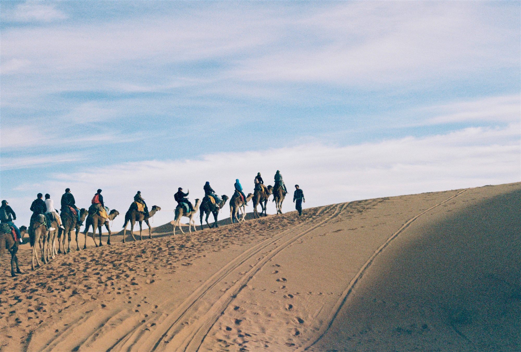 Camel ride or horse riding at Timlaline