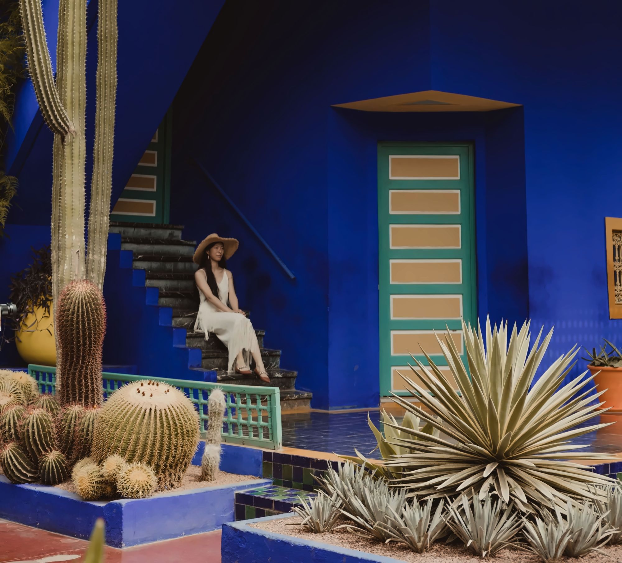 Towering cacti and bamboo against the cobalt Majorelle blue walls of the Jardin Majorelle