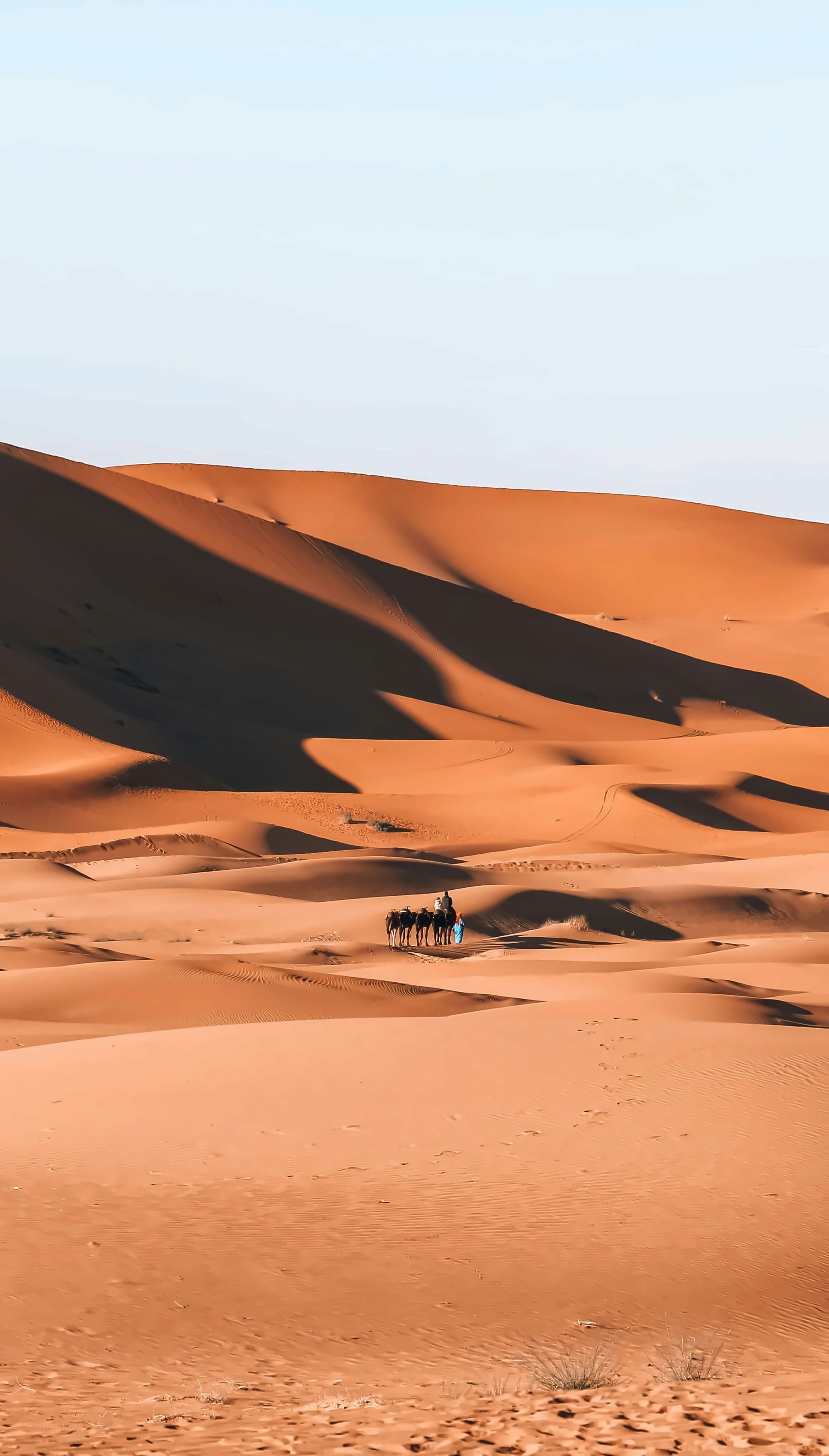 The ridgelines of the Erg Chebbi dunes glowing orange at sunrise near Merzouga